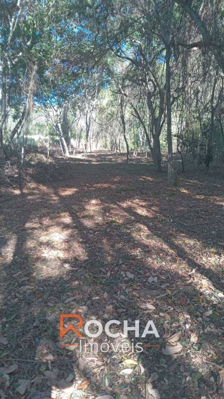 Terreno, 6000 m² - Foto 2