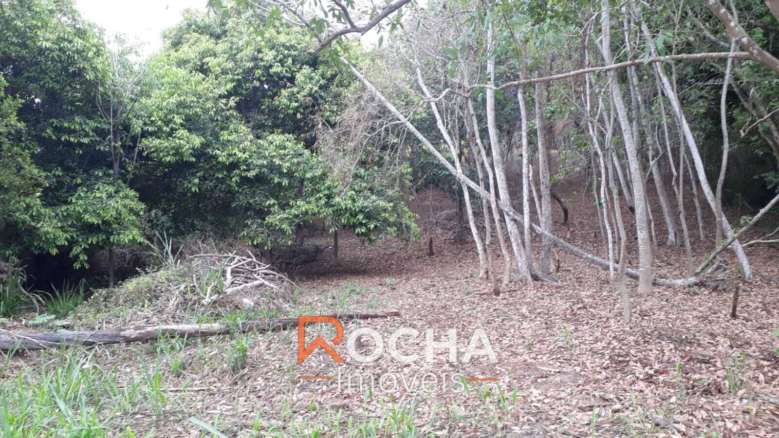 Terreno, 6000 m² - Foto 3