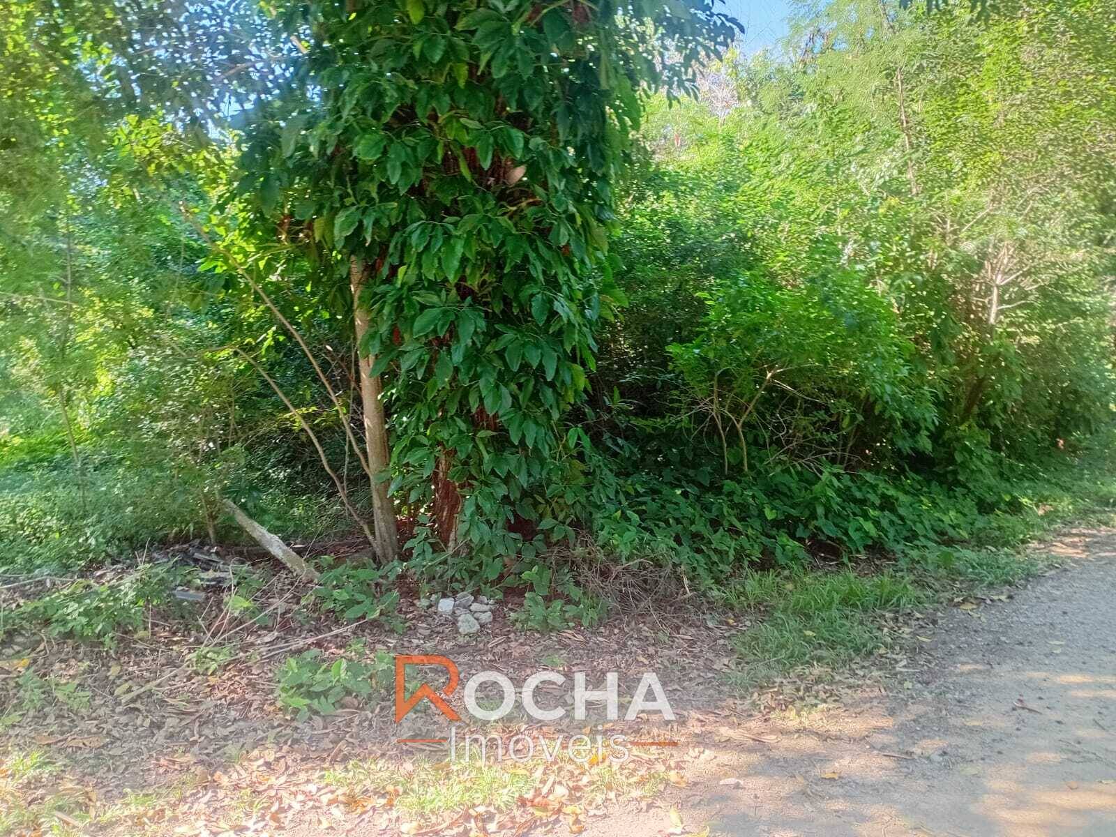 Terreno, 4400 m² - Foto 8