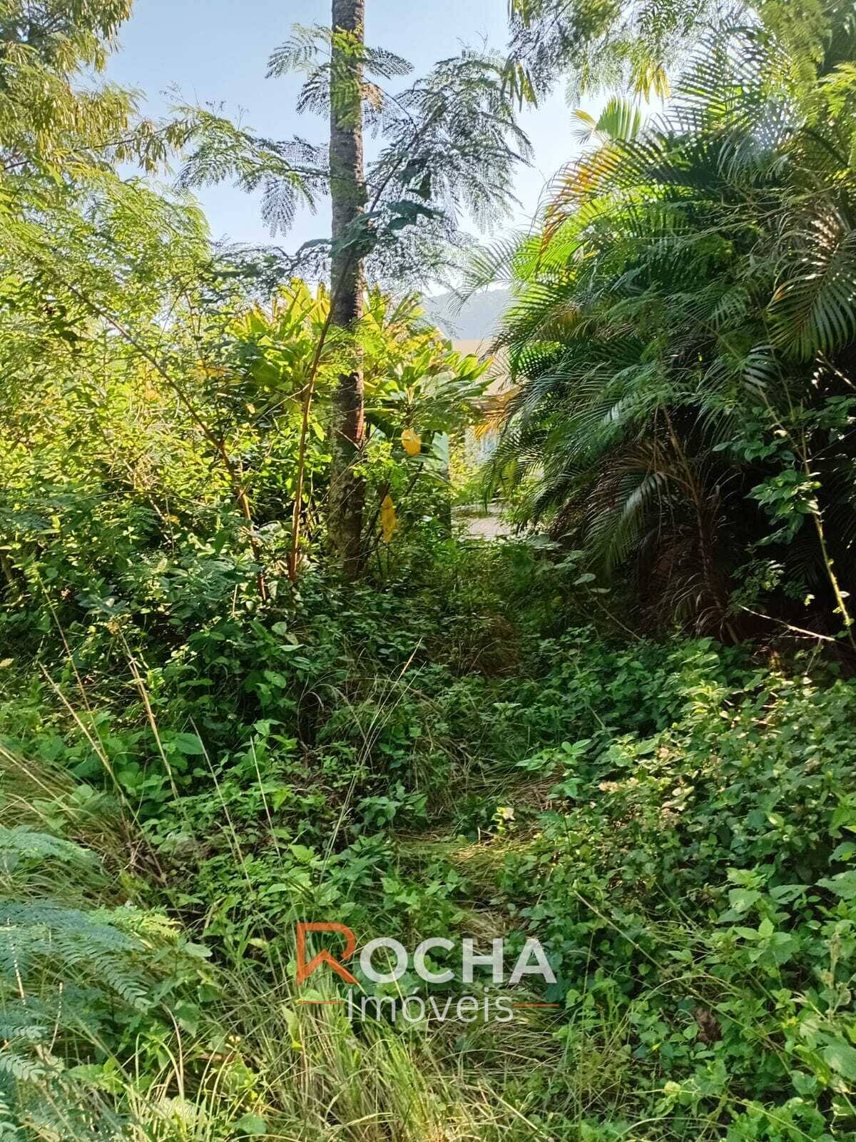 Terreno, 1 hectares - Foto 8