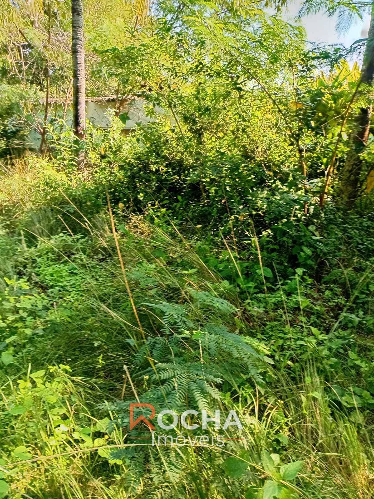 Terreno, 1 hectares - Foto 9