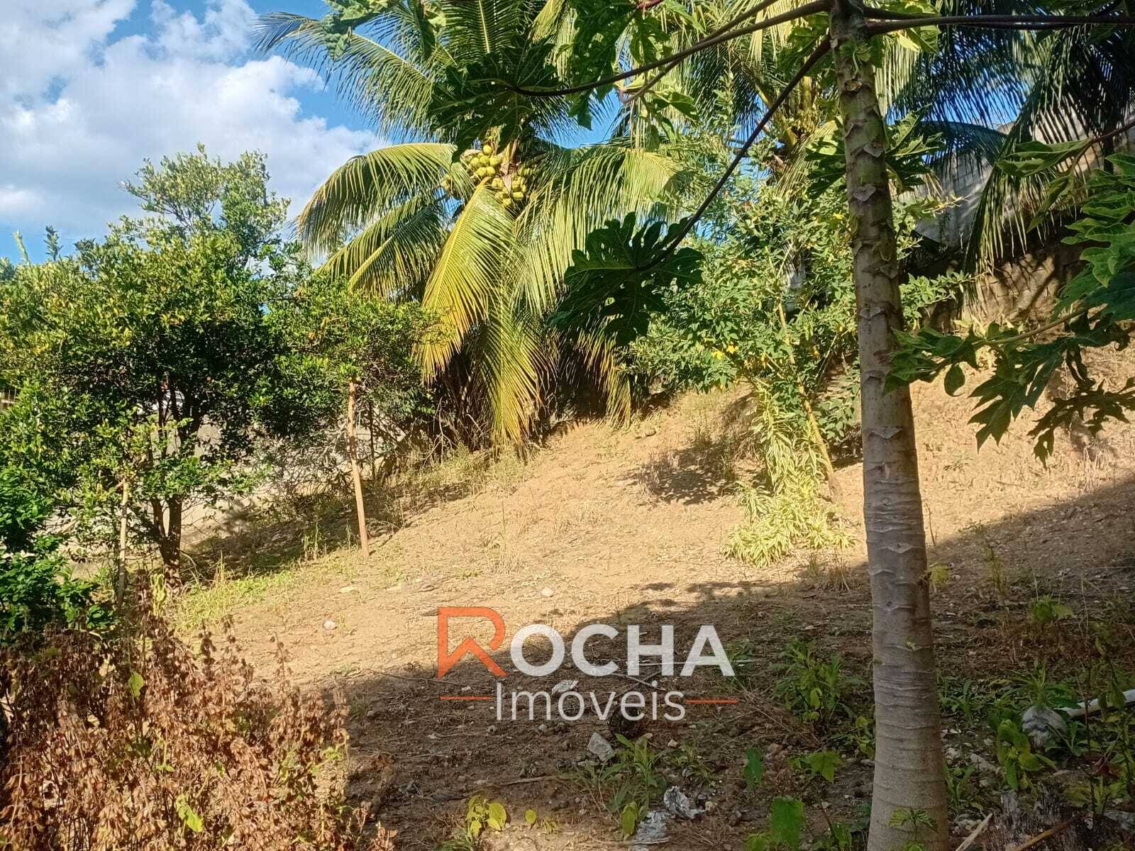 Casa, 4 quartos, 275 m² - Foto 7