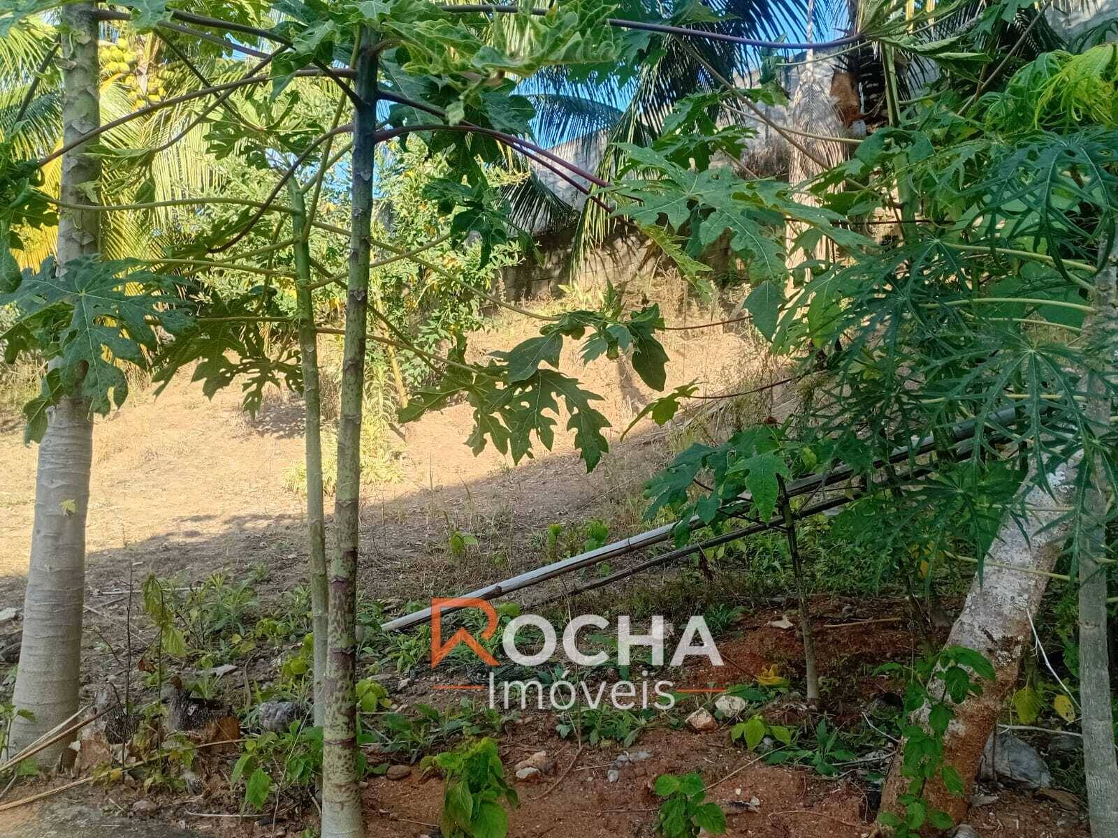 Casa, 4 quartos, 275 m² - Foto 8