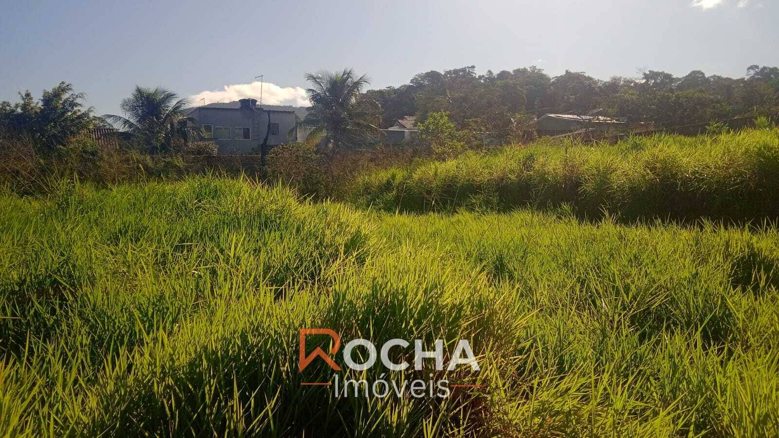 Terreno, 8500 m² - Foto 3