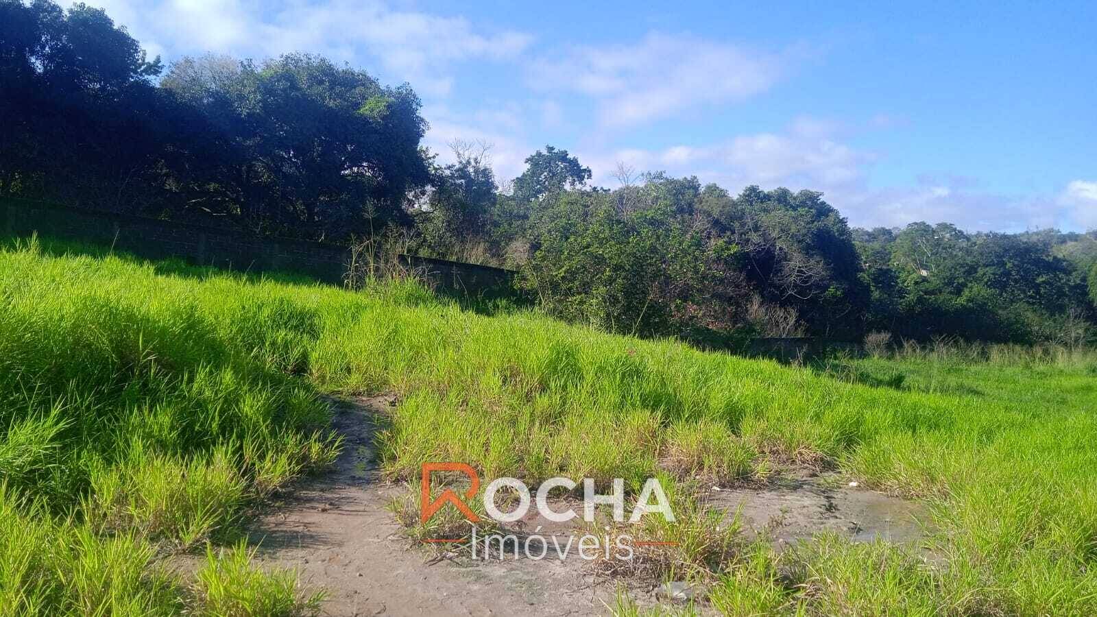 Terreno, 8500 m² - Foto 4