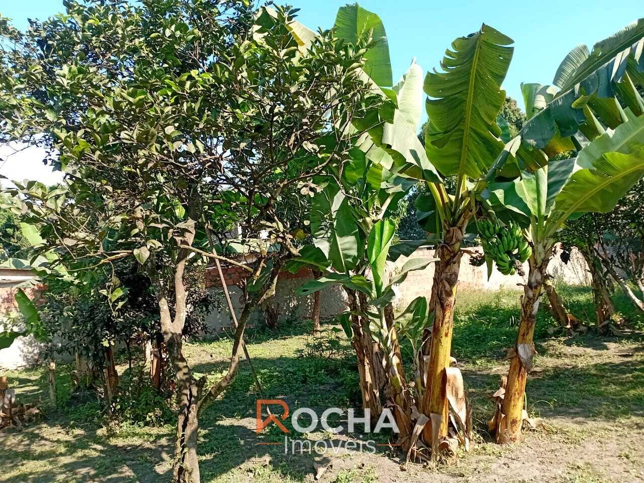 Casa, 1 quarto, 34 m² - Foto 5