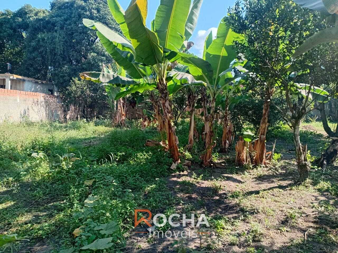 Casa, 1 quarto, 34 m² - Foto 7