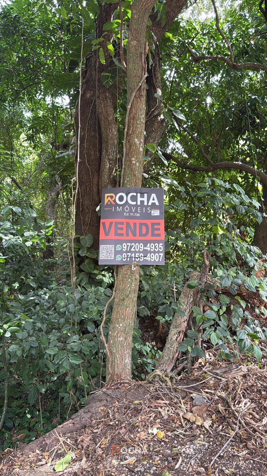 Terreno, 789 m² - Foto 3