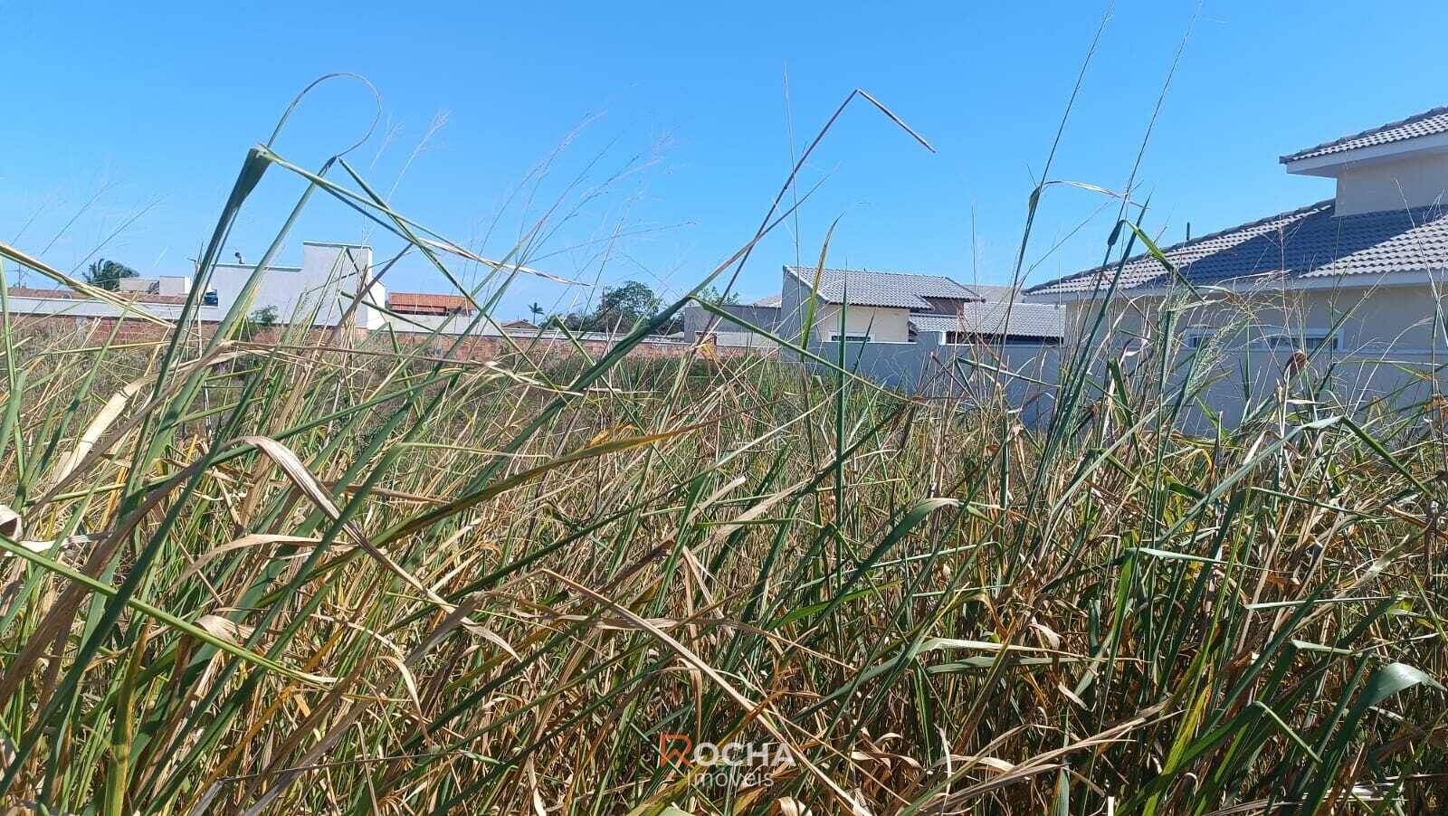 Terreno, 480 m² - Foto 2