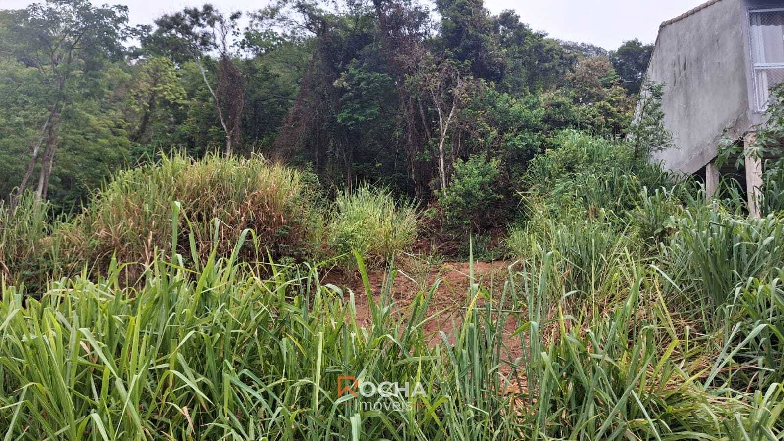 Terreno, 900 m² - Foto 2