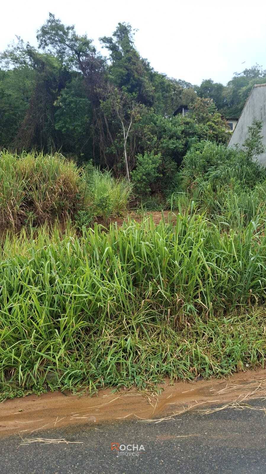 Terreno, 900 m² - Foto 4