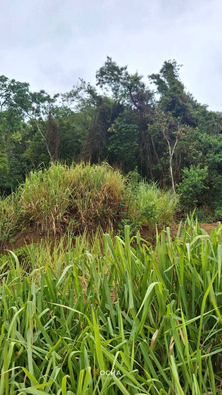 Terreno, 900 m² - Foto 5