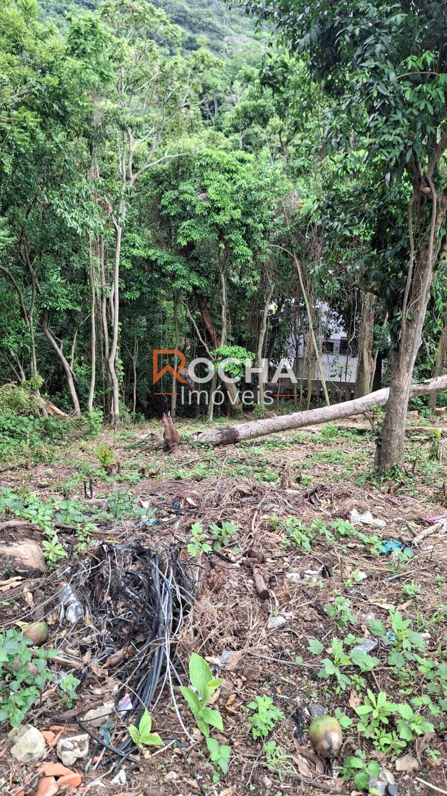 Terreno, 484 m² - Foto 2