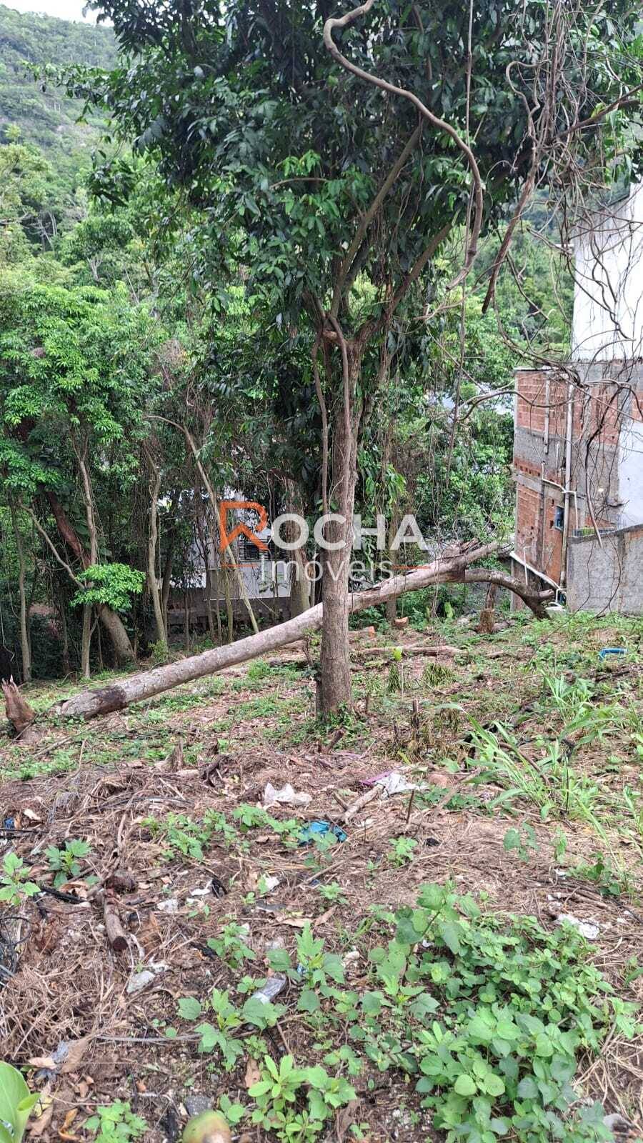 Terreno, 484 m² - Foto 4