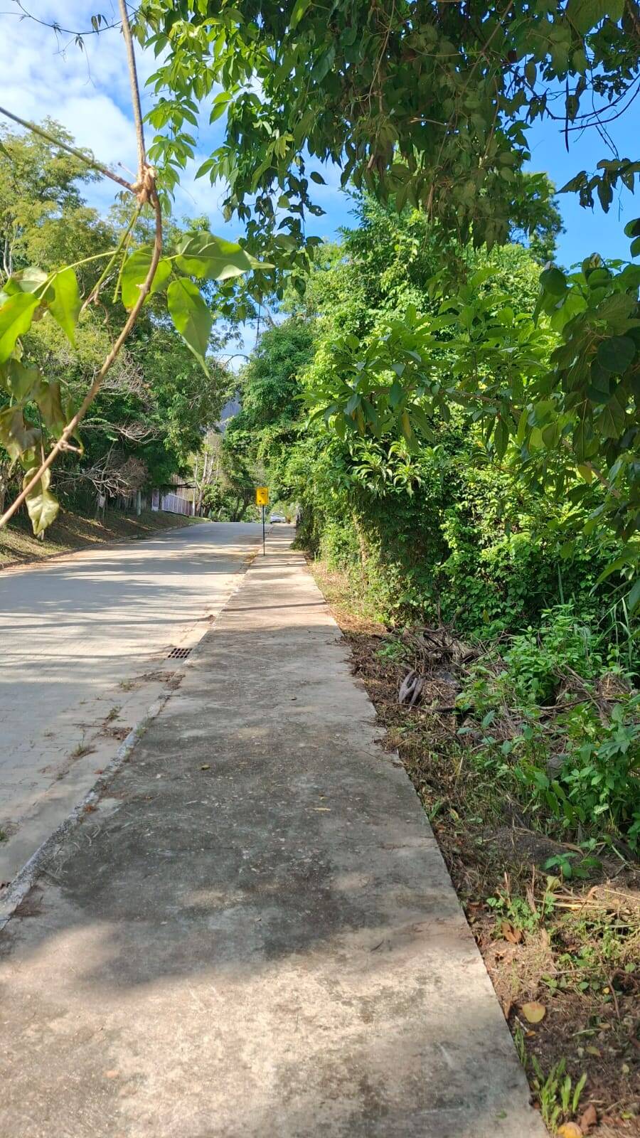 Terreno, 2000 m² - Foto 1