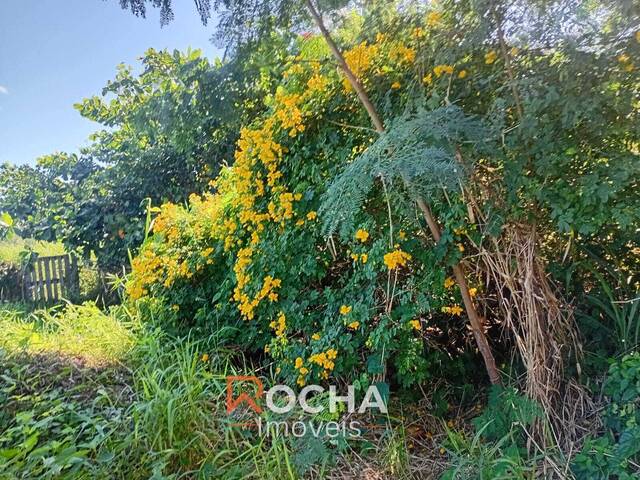 Terreno para Venda em Maricá - 4