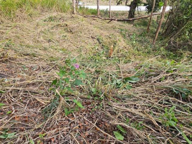 #TE-054 - Área para Venda em Maricá - RJ