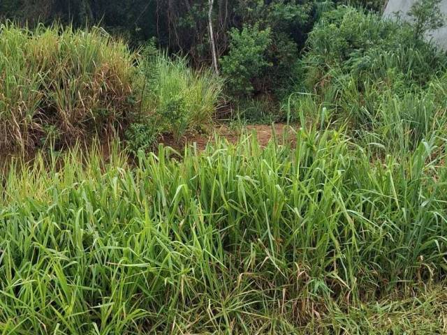Terreno para Venda em Maricá - 4