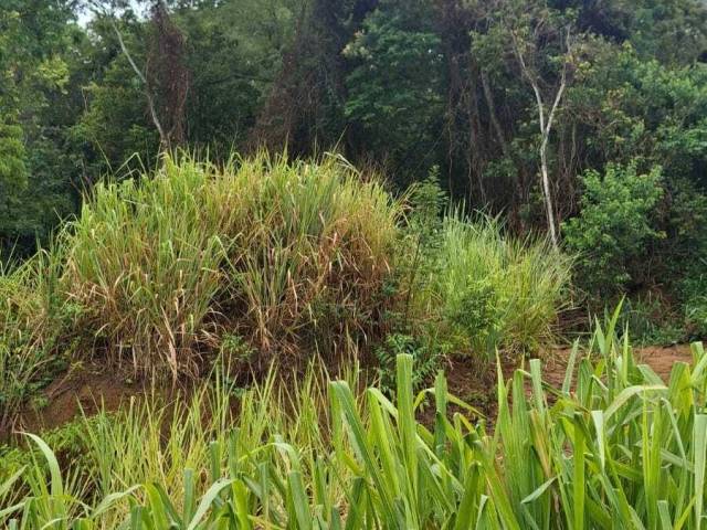 Terreno para Venda em Maricá - 5