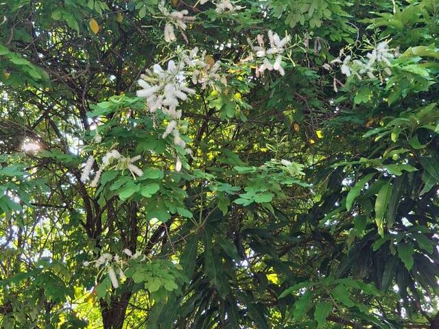 #TE-062 - Área para Venda em Maricá - RJ - 2